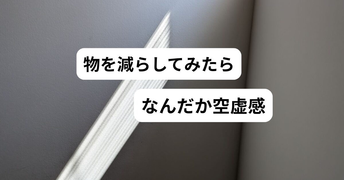ミニマリスト、空虚感、寂しい、虚しい、無気力、向いていない、やめたい
